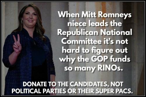 Mitt Rino's funds