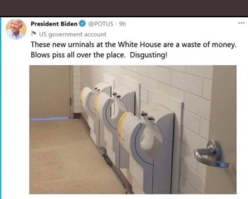 photo5001342533061683627