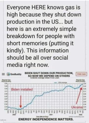 Bidens Fault