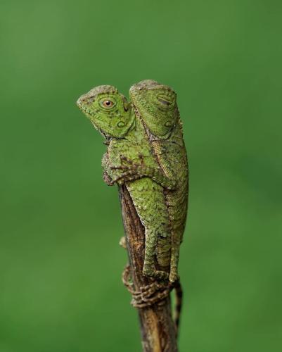 811756ED-FF3B-4594-909D-65B5A488AB5B