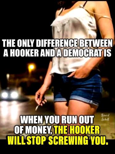 Difference Between a Hooker and a Democrat