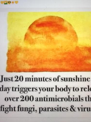 F83E9A45-AB62-4EAD-8F28-050958D2B7EE