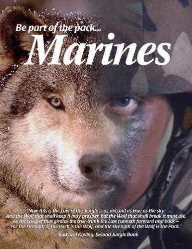 Marines - Be part of the pack