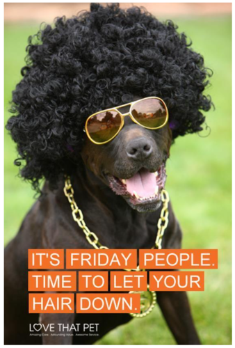 Screenshot_20220225-111601