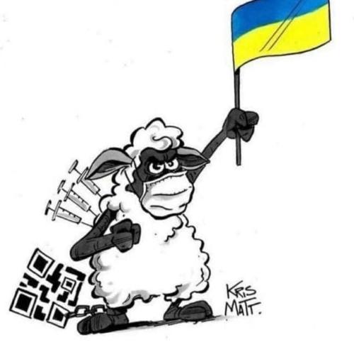 photo_2022-03-07_05-33-32