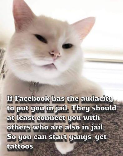 FB_IMG_1648767714207