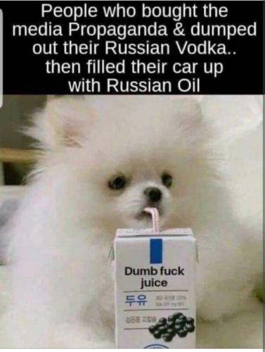 Screenshot_20220306-171445_Brave