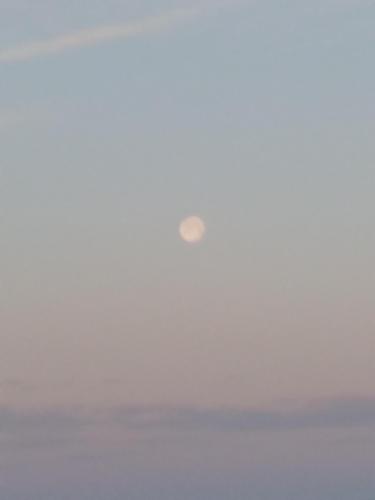 20220319_071826