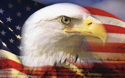 american-eagle-landofthefree