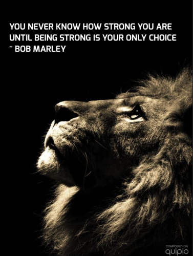 Screenshot_20220307-215855