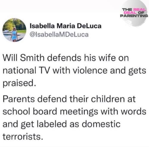 Domestic Terrorists