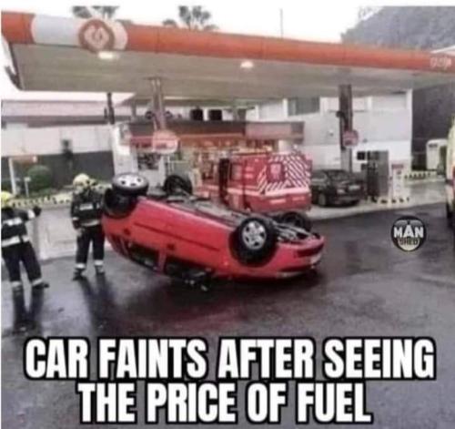 FB_IMG_1646743510448