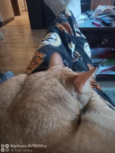 16485049061317176055960275733841