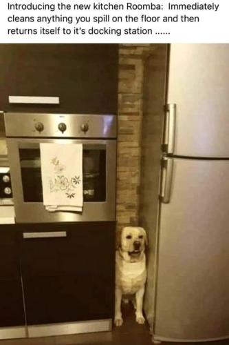 4DB095D4-D1EC-4CB6-AD58-DB11D49BE291