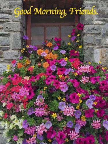 FB_IMG_1645668662035