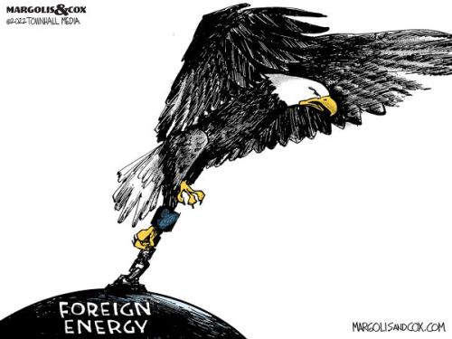 MC_ForeighnEnergy_web20220315121159