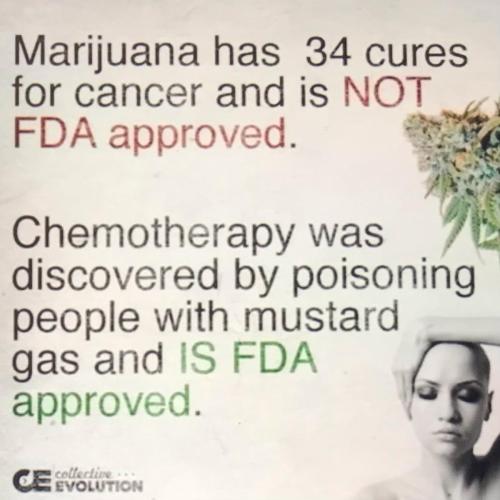 1BDCE5C1-3A73-4F98-89DD-96D6D4CF7AE3