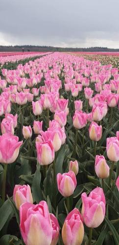 FB_IMG_1620653545620