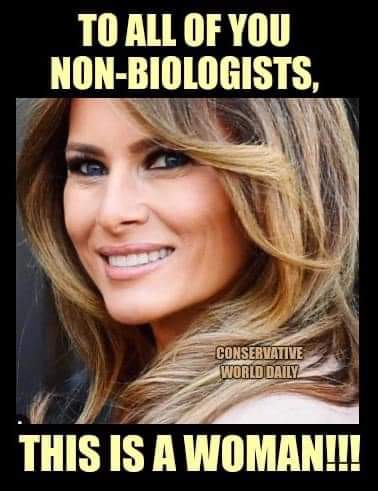 FB_IMG_1648484560763