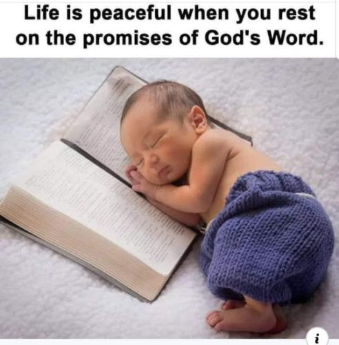 FB_IMG_1614479563972