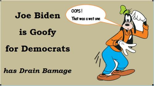 GoofyBiden