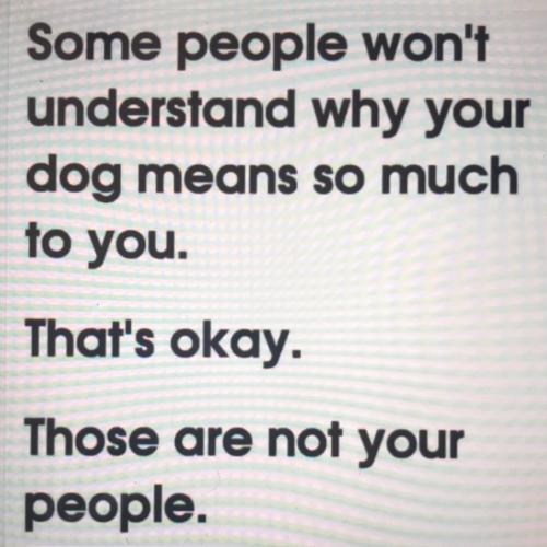 AB0D2741-CE3E-423F-8303-F4F52B06D828