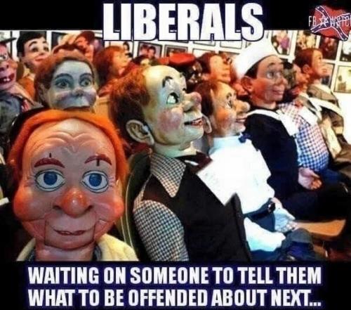 liberal ventriloquist