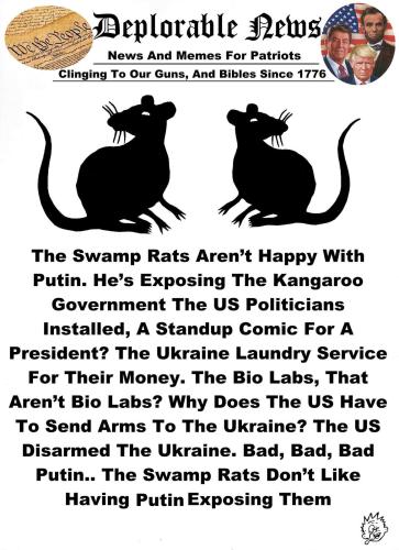 M Swamp rats