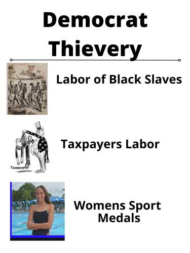 Democrat Thievery