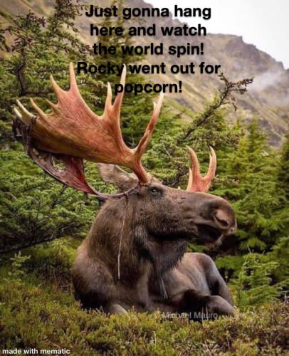 A1866F2F-8D2A-467A-A266-459D714F39EA