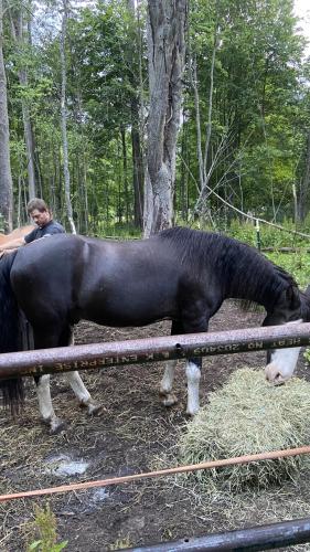 E996CE38-B950-4BE4-9ADD-B36B23B7166C