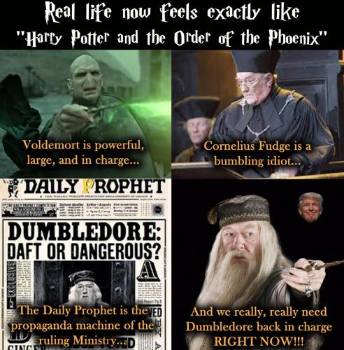 reallifeharrypotter