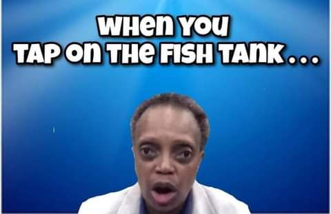 FB_IMG_1647398113835