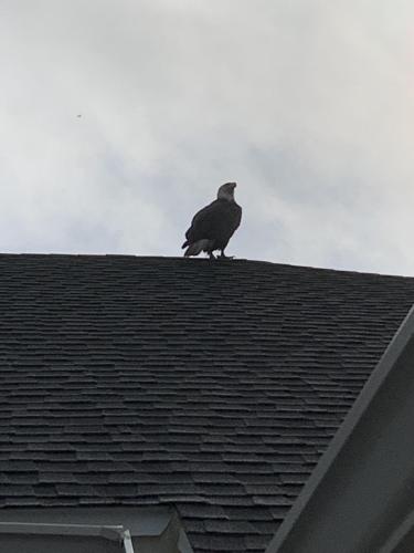 1973E573-C179-45C1-9D7E-F6C45E46B645