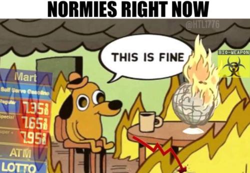 IMG_20220328_132415_919