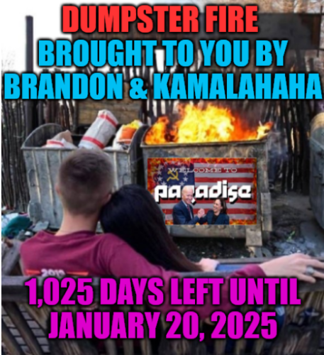 Screenshot 2022-03-31 at 18-28-47 Dumpster Fire Meme Generator - Imgflip