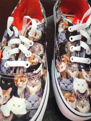 66F84B76-7E02-4352-B66C-AF221C5BE08D