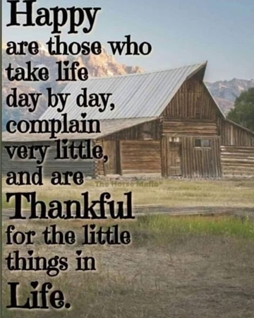 273562299_525756782506661_1183785037679195667_n