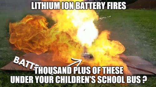 BIDENELECTRICBATTERYWCAP