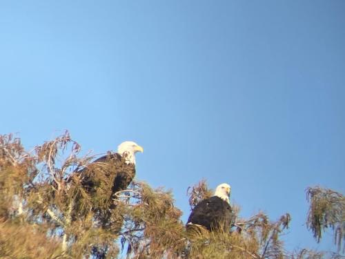 917369EC-FB18-47B2-A183-9BEBC12AADEB