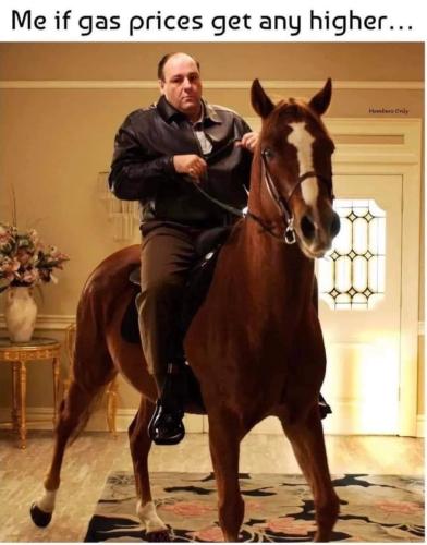 FB_IMG_1646873738062