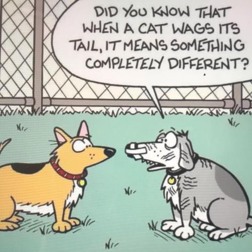 79A2E839-C16C-469B-8D04-FD5C559E1EA4