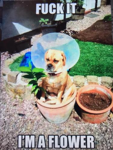 54D59045-3ED1-45B5-A31A-06953C36D9BC