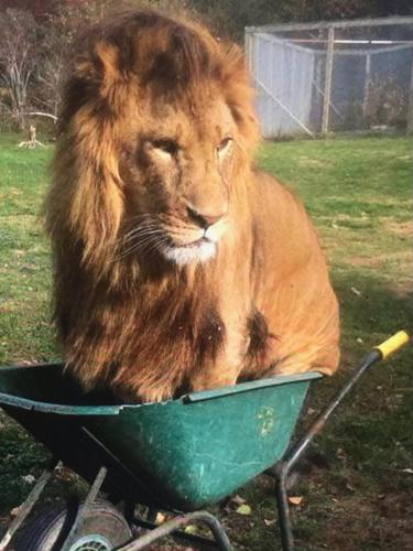 222E6A56-DB47-44EF-8601-1CC473F8245D