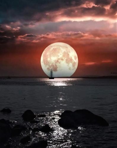 BA38BF66-4677-4ECD-B8B5-D196468B6CFE