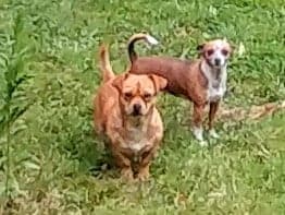 79425868_108488267315089_6896952668254633984_n