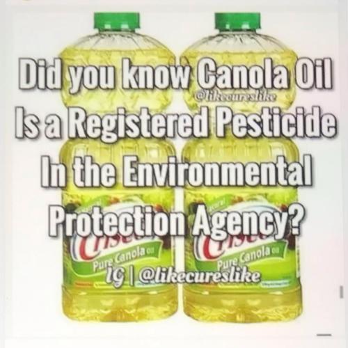 09114E7B-7C03-4498-9312-9273993B3DDF