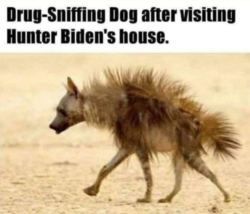 FB drug dog