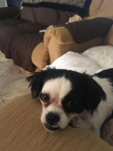 BC27B152-6908-41D9-A2EB-79DEA4A90E4E