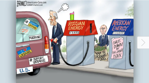 Screenshot 2022-03-03 at 11-39-05 Political cartoon of the day Reeks One Big-Gas Mistake
